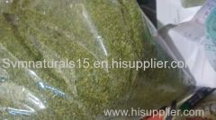 Moringa Tea Cut Leaf Exporters India