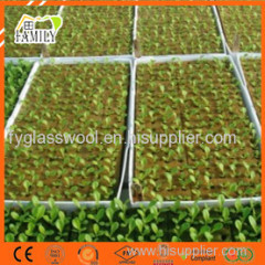 Greenhouse Seedling Growing Substrate Hydroponic Rockwool Cube for Agriculture