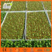 Greenhouse Seedling Growing Substrate Hydroponic Rockwool Cube for Agriculture