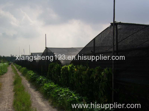 Vegetable cultivation of sunscreen