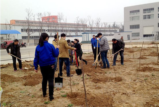 Censtar employees actively participate in tree planting activities