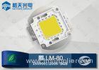 Outstanding light High Lumen COB 100W High Power LED for LED Street Light