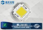 Energy Star LM-80 Certification High Quality COB High Power 100W LED