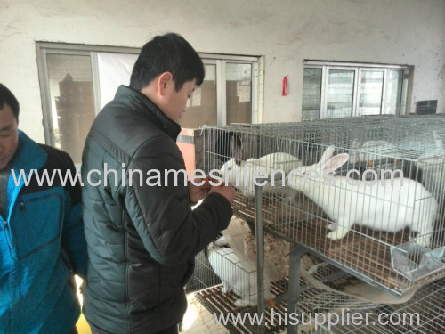 Galvanized child and mother rabbit cage commercial rabbit farming cage with tray easy clean