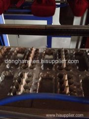 High Quality Plastic Egg Tray Mould