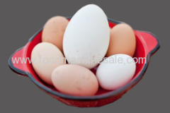 Full Automatic Stainless Steel Egg Washing Machine