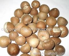 sell Betel nut Whole/ Split/ Slice/fresh +84 935 027 124