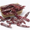 Dried Jinta Chili Product Product Product