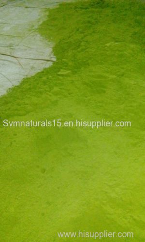 Natural Moringa Leaf Powder Exporters