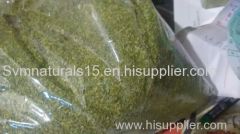 Natural Moringa Tea Cut Leaf Exporters