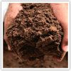 Palm Kernel Cake/Meal Feed