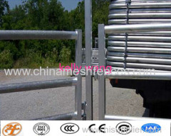 Haotian hot dipped galvanized horse ranch fence with 5 or 6 bars factory