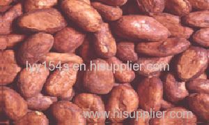 Western Africa Cocoa Bean