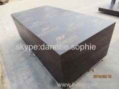 KANGAROO FILM FACED PLYWOOD WITH POPLAR CORE AND WBP MELAMINE GLUE ADD BROWN PRINTED FILM