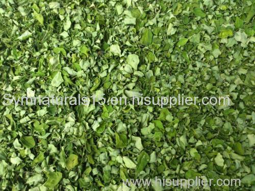 100% Natural Moringa Leaves Exporters