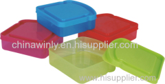 Sandwich Plastic Box Daily Use