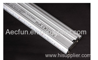 Advertising Ruler/ protective ruler for advertising