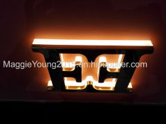 Titanium gold signs /titanium gold logo /titanium letter