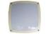 Dimmable Outdoor Surface Mounted LED Ceiling Light IK10 CRI 75 SP - MLCG270 - 10