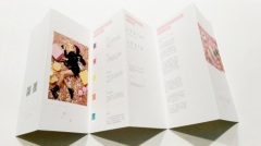 Reliable five folded business brochure printing