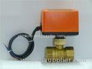 Automatic Water Drain 2 Way Motorized Valve PN20 with Brass Body