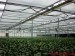 3.25m Width Greenhouse Climate Control Shade Curtains Energy Saving Close Type inner Use Shading Rate 75%