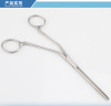 Surgical ENT Dressing Forceps