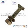 T Bolts Insert Bolt with Nut and Washer for Railway