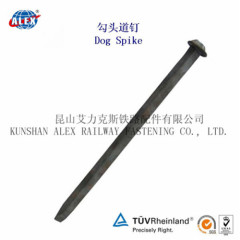 Railroad Dog Spike for track construction