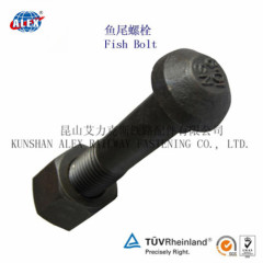 Railway Fastening Track Bolt Fish Bolt