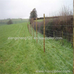 hinge jointed galvanized cattle fence / field fence / grassland fence