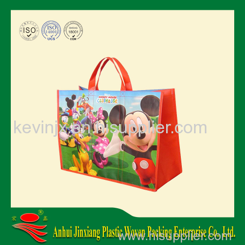 pp woven shopping bag