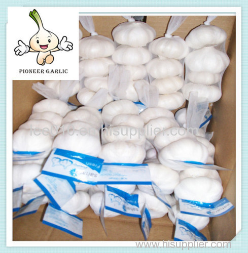 Wholesale 2016 Fresh Chinese White Garlic