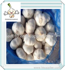 factory outlets fresh garlic supplier export china garlic