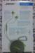 Bose SoundSport Green In-Ear Headphones for iPhone iPod iPad from China manufacturer