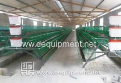 Plastic Coated Layer Cage