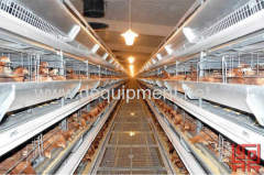 Animal cage Pullet Cage