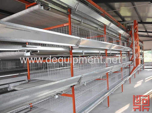 Chicken cage Broiler Cage