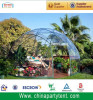 High Quality Outdoor Transparent Fashion Party Geo-Dome Tent For Sale