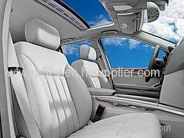 .PPGS For Car Seats And Interior Molding