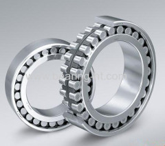 Inner ring side guard cylindrical roller bearing