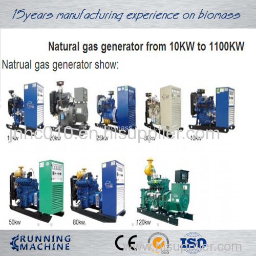 Gas generator and biomass gas generator