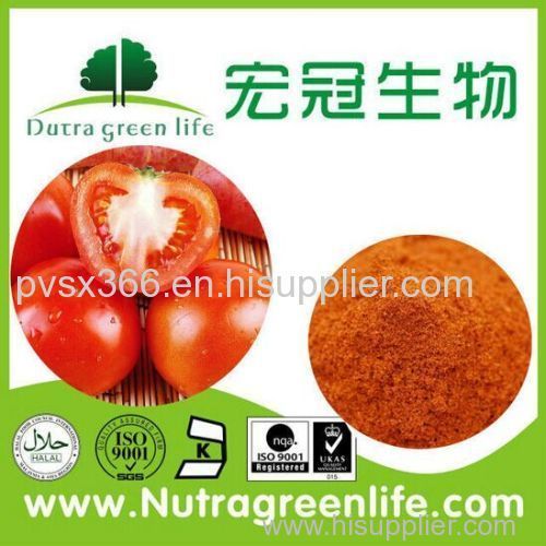 Tomato PowderTomato PowderTomato Powder