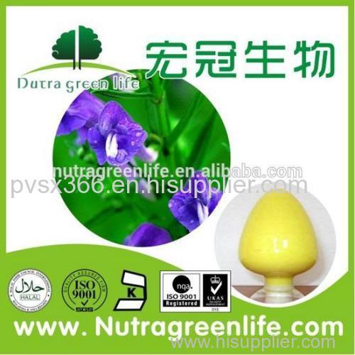 Baikal Skullcap Root Extract