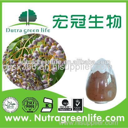 Phellodendron Bark ExtractPhellodendron Bark Extract