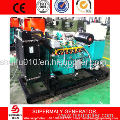 80KW Cummins Natural Gas Generator Price