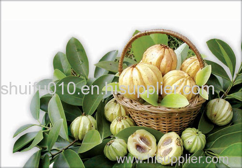 Garcinia Cambogia Extract Hydro xycitric A cid