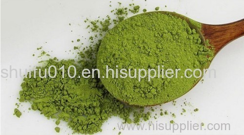 High Quality Natural Matcha High Quality Natural Matcha