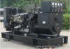 Pe rkins Diesel Generator with 12V DC Motor Easily Manual
