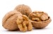 Almonds Walnuts Peanuts Sunflower seeds Cashew Nut